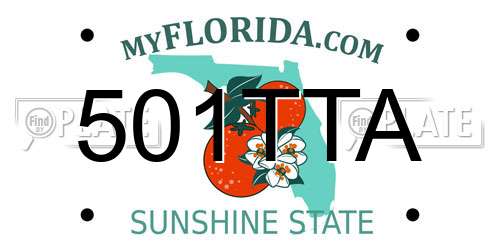 501TTA Florida License Plate