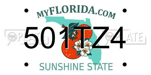 501TZ4 Florida License Plate