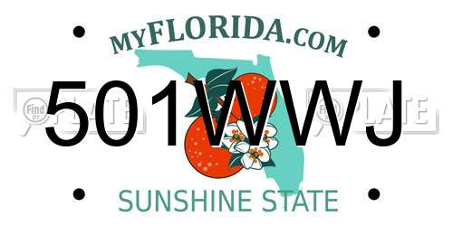 501WWJ Florida License Plate