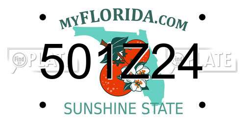 501Z24 Florida License Plate