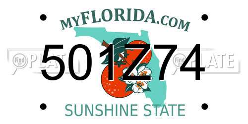 501Z74 Florida License Plate