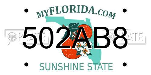 502AB8 Florida License Plate