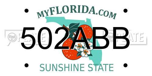 502ABB Florida License Plate