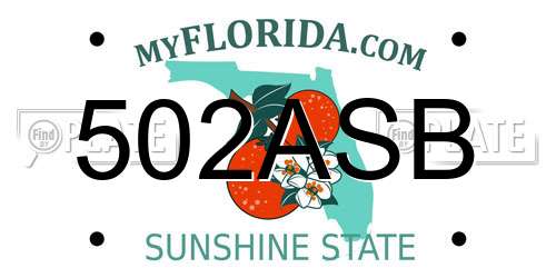 502ASB Florida License Plate