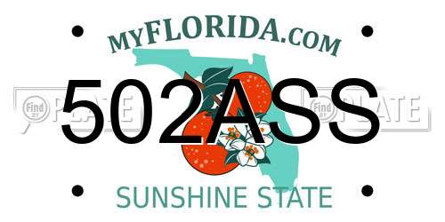 502ASS Florida License Plate