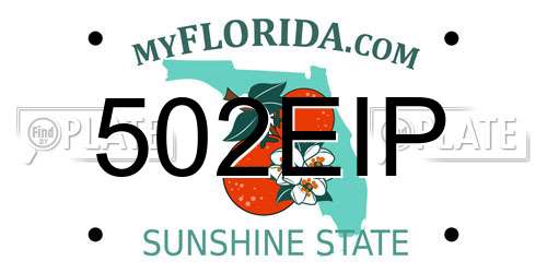 502EIP Florida License Plate