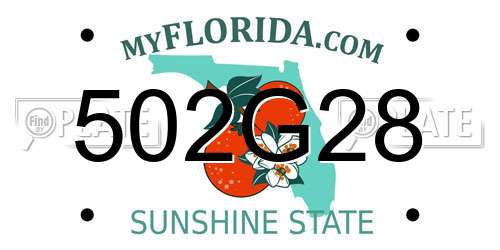 502G28 Florida License Plate