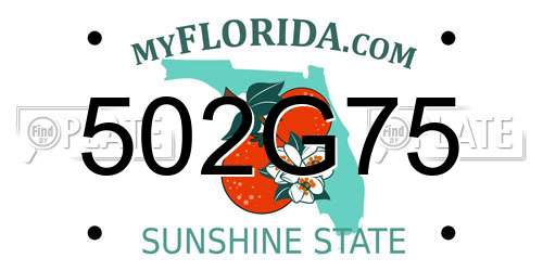 502G75 Florida License Plate
