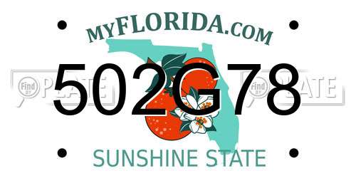 502G78 Florida License Plate