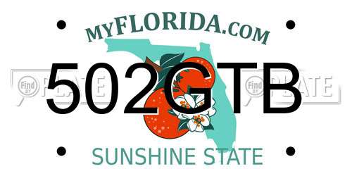 502GTB Florida License Plate