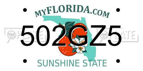 502GZ5 Florida License Plate