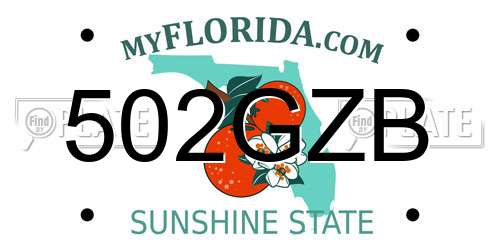 502GZB Florida License Plate