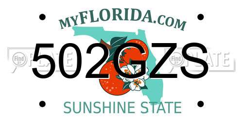 502GZS Florida License Plate