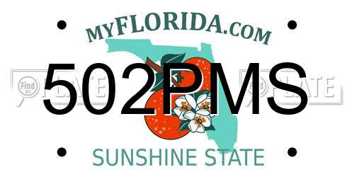 502PMS Florida License Plate