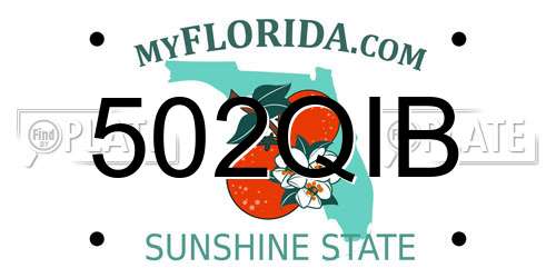 502QIB Florida License Plate