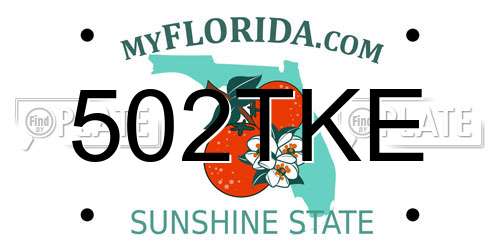 502TKE Florida License Plate