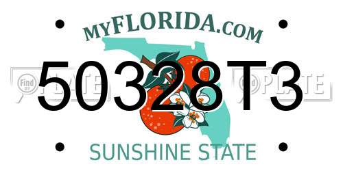 50328T3 Florida License Plate