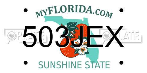 503JEX Florida License Plate