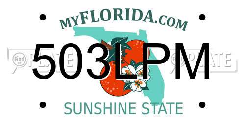 503LPM Florida License Plate
