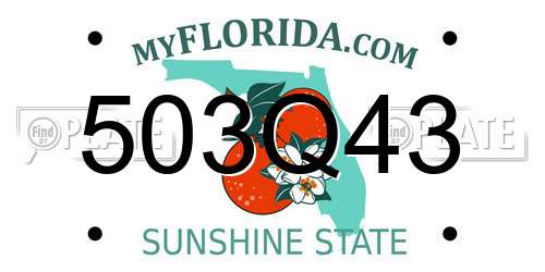 503Q43 Florida License Plate