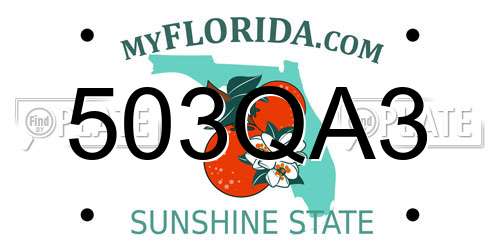 503QA3 Florida License Plate