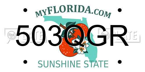 503QGR Florida License Plate