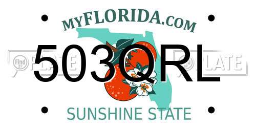 503QRL Florida License Plate