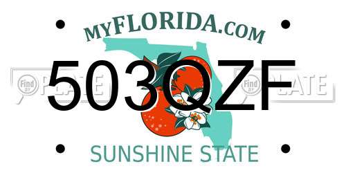 503QZF Florida License Plate