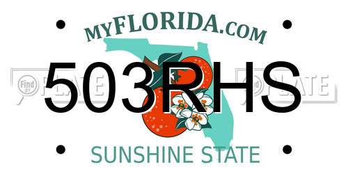 503RHS Florida License Plate