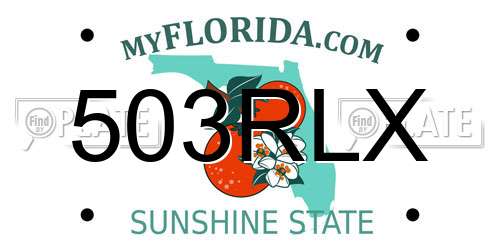 503RLX Florida License Plate