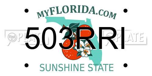 503RRI Florida License Plate