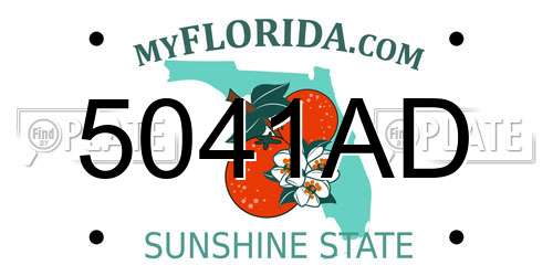 5041AD Florida License Plate