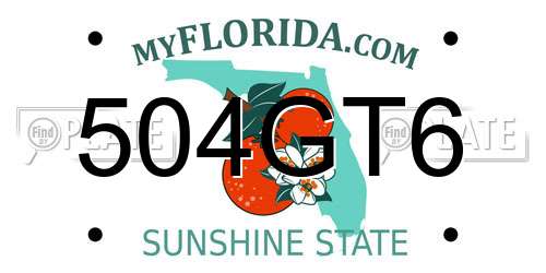 504GT6 Florida License Plate