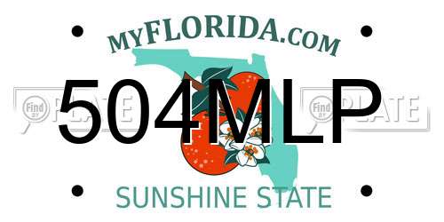 504MLP Florida License Plate