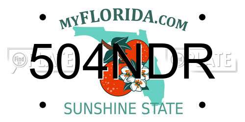 504NDR Florida License Plate