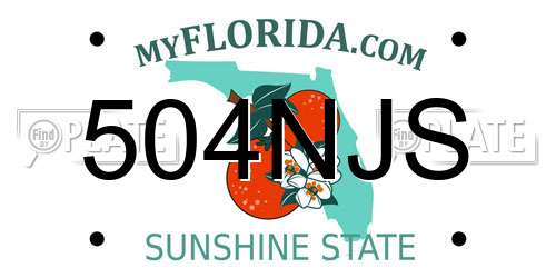 504NJS Florida License Plate