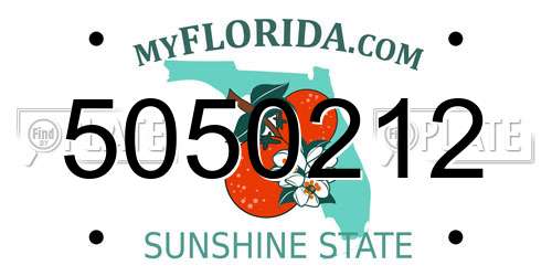 5050212 Florida License Plate