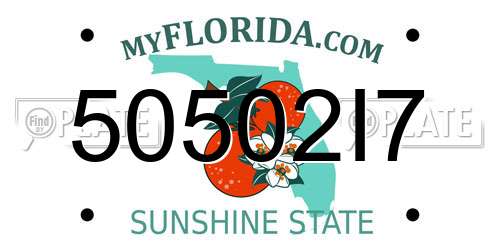 50502I7 Florida License Plate