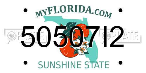 50507I2 Florida License Plate