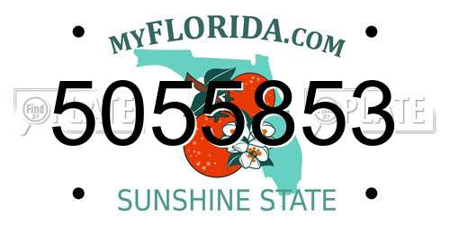 5055853 Florida License Plate
