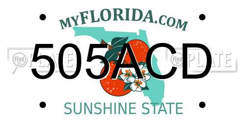 505ACD Florida License Plate