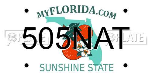 505NAT Florida License Plate