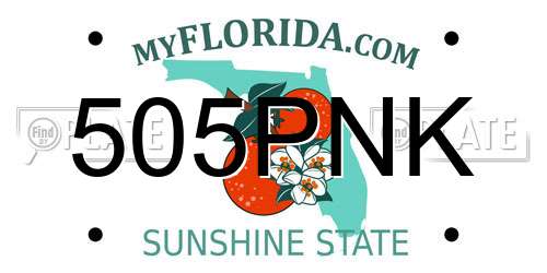 505PNK Florida License Plate
