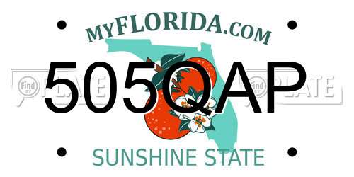 505QAP Florida License Plate