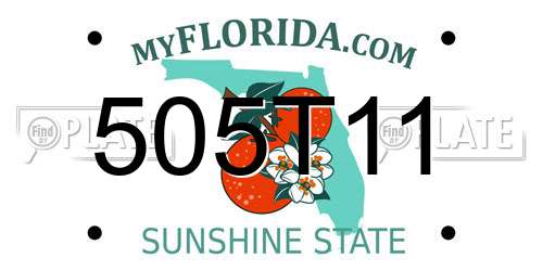 505T11 Florida License Plate