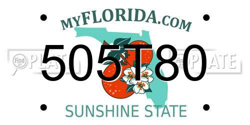 505T80 Florida License Plate