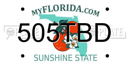 505TBD Florida License Plate
