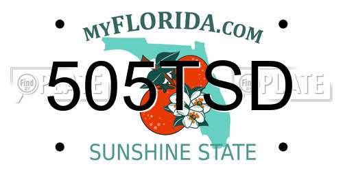 505TSD Florida License Plate