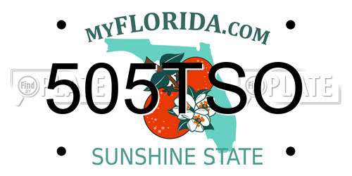 505TSO Florida License Plate