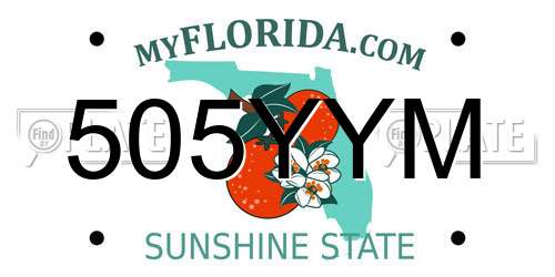 505YYM Florida License Plate
